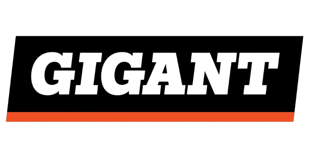 Ремонт снегоуборщиков Gigant