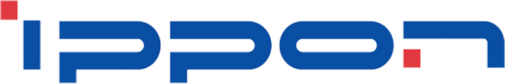 Ремонт источников бесперебойного питания IPPON